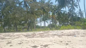 Beach Plot on Sale Mkwaja Village Pangani
