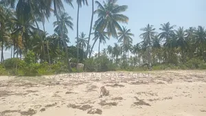 Beach Plot on Sale Mkwaja Village Pangani