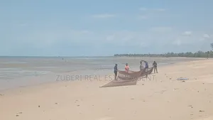 Beach Plot on Sale Mkwaja Village Pangani