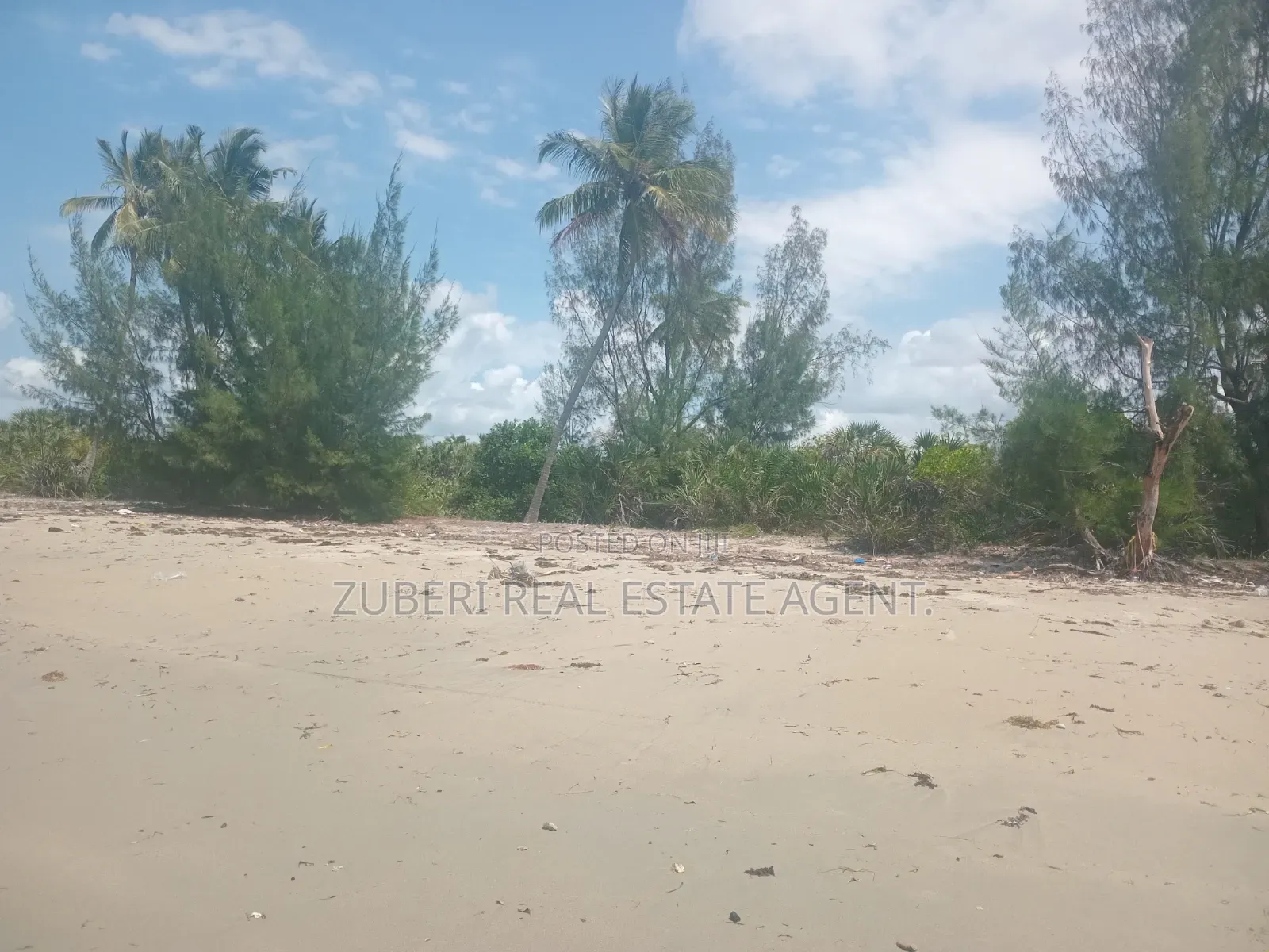Beach Plot on Sale Mkwaja Village Pangani