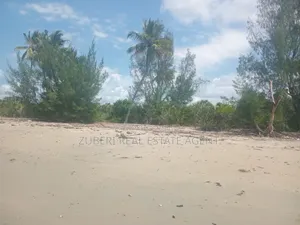 Beach Plot on Sale Mkwaja Village Pangani