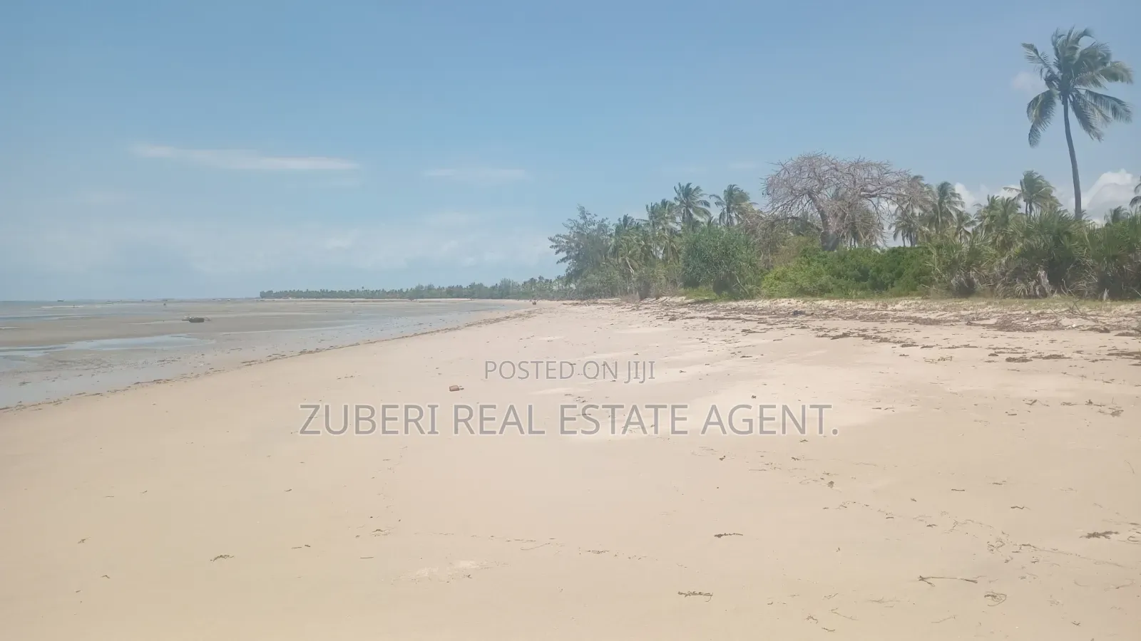 Beach Plot on Sale Mkwaja Village Pangani