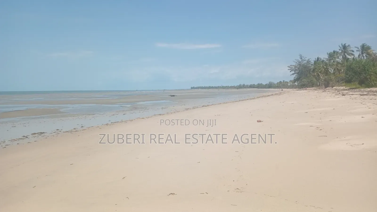 Beach Plot on Sale Mkwaja Village Pangani