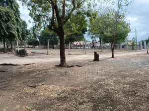 Kiwanja Kinauzwa