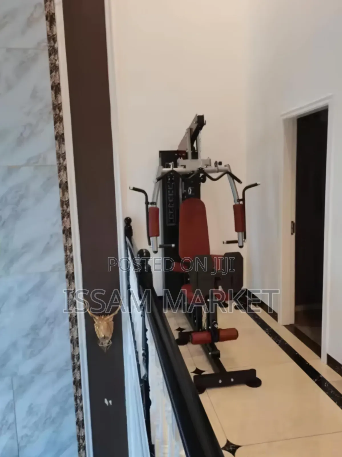 Multifunctional Home Gym