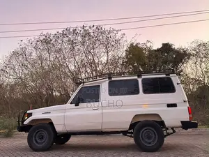 Toyota Land Cruiser 1989 White