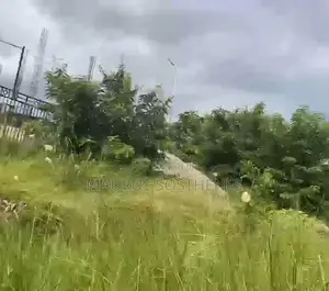 50 Acre's for Sale TSH 30,000,000/Acre Located in Visiga Kibaha, Pwani