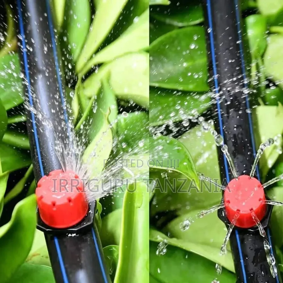 100L Adjustable Emitters