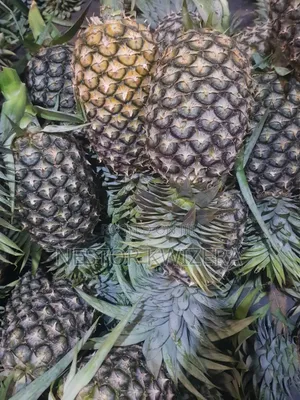 Karibu Kwa Mukulima