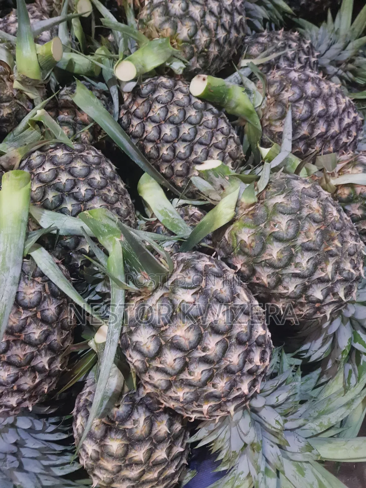 Karibu Kwa Mukulima
