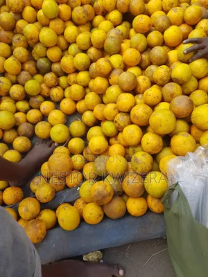 Karibu Kwa Mukulima