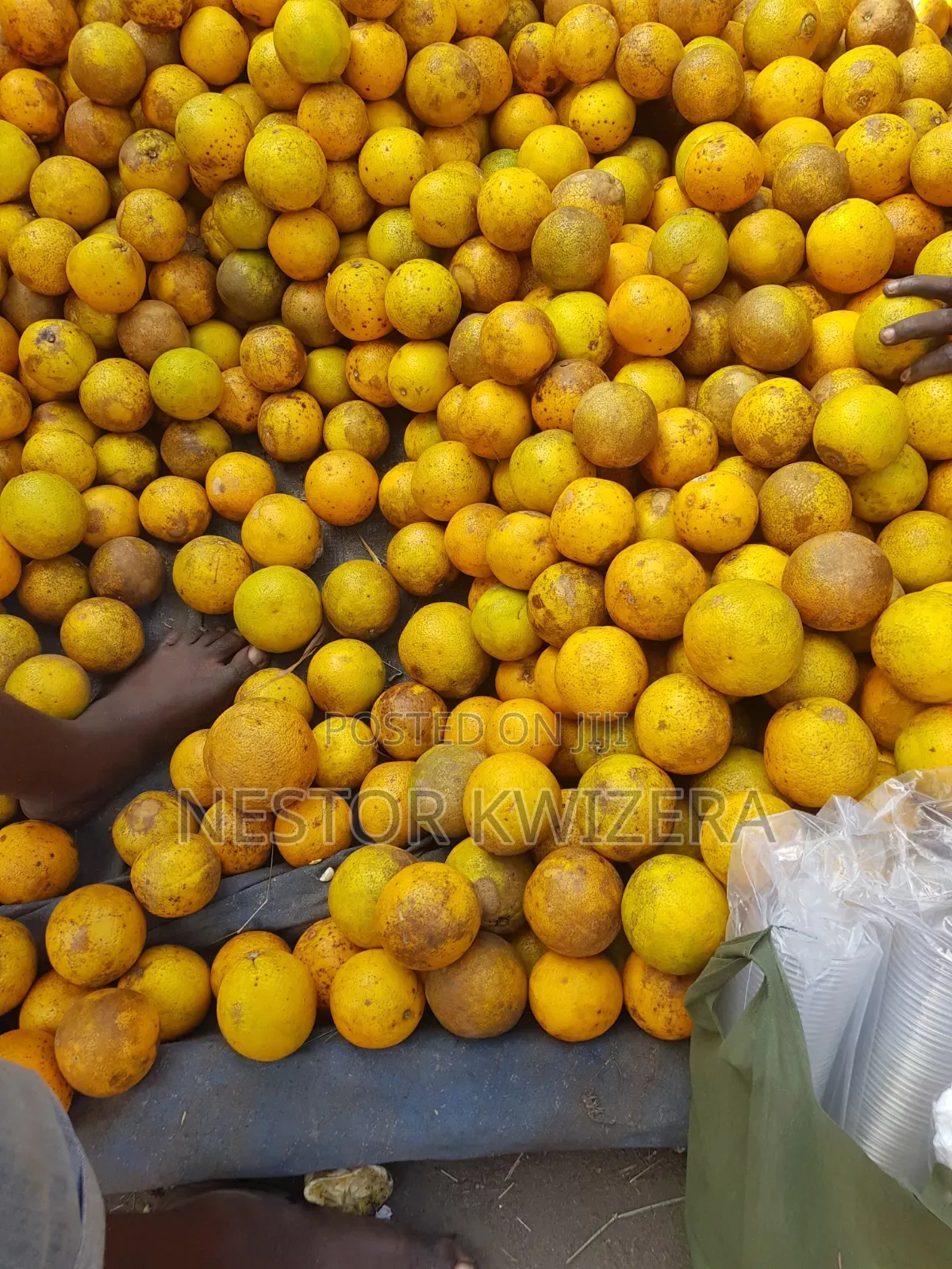 Karibu Kwa Mukulima