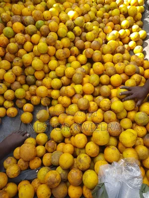 Karibu Kwa Mukulima