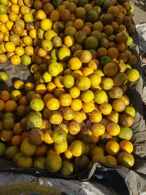 Karibu Kwa Mukulima
