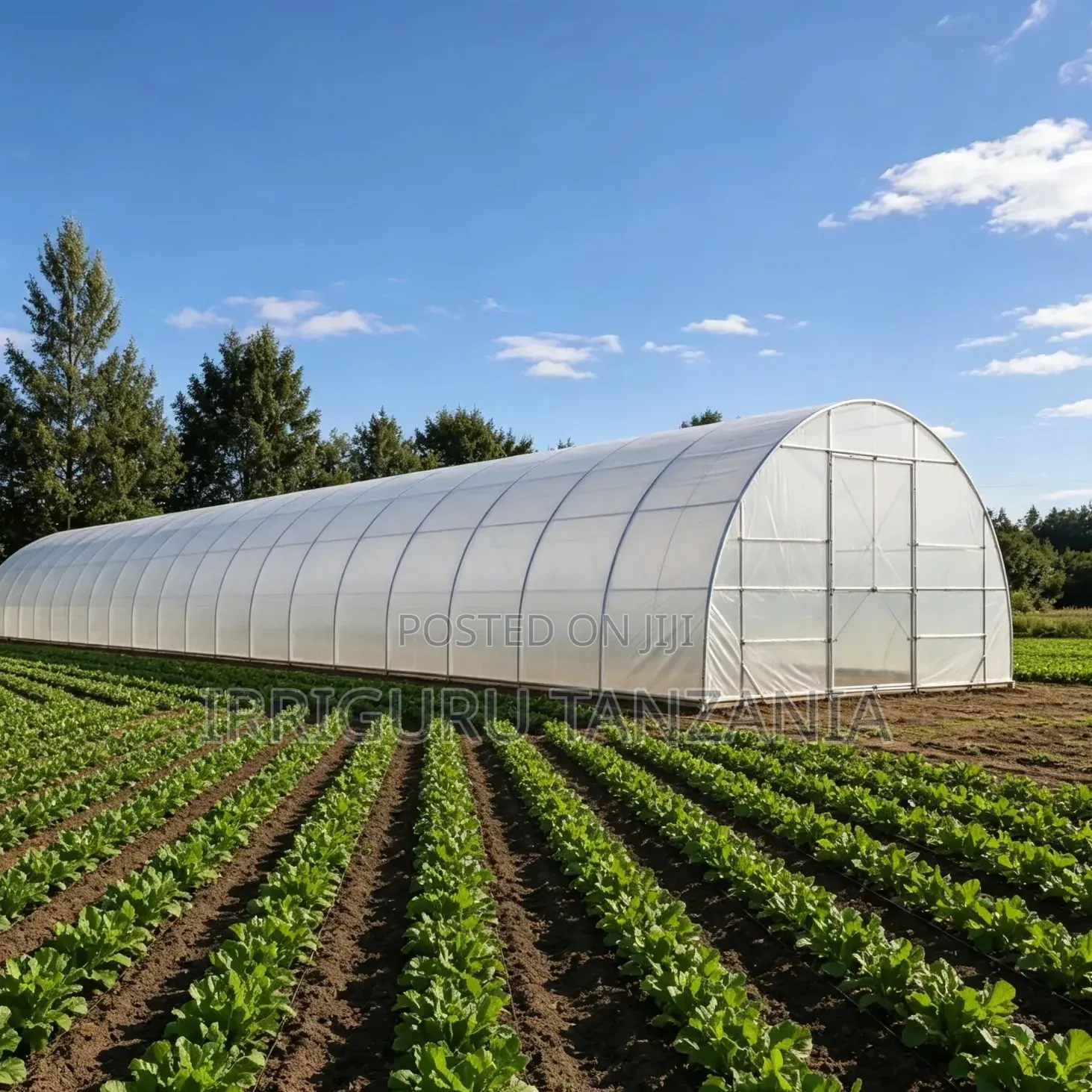 Shade Polythene Cover