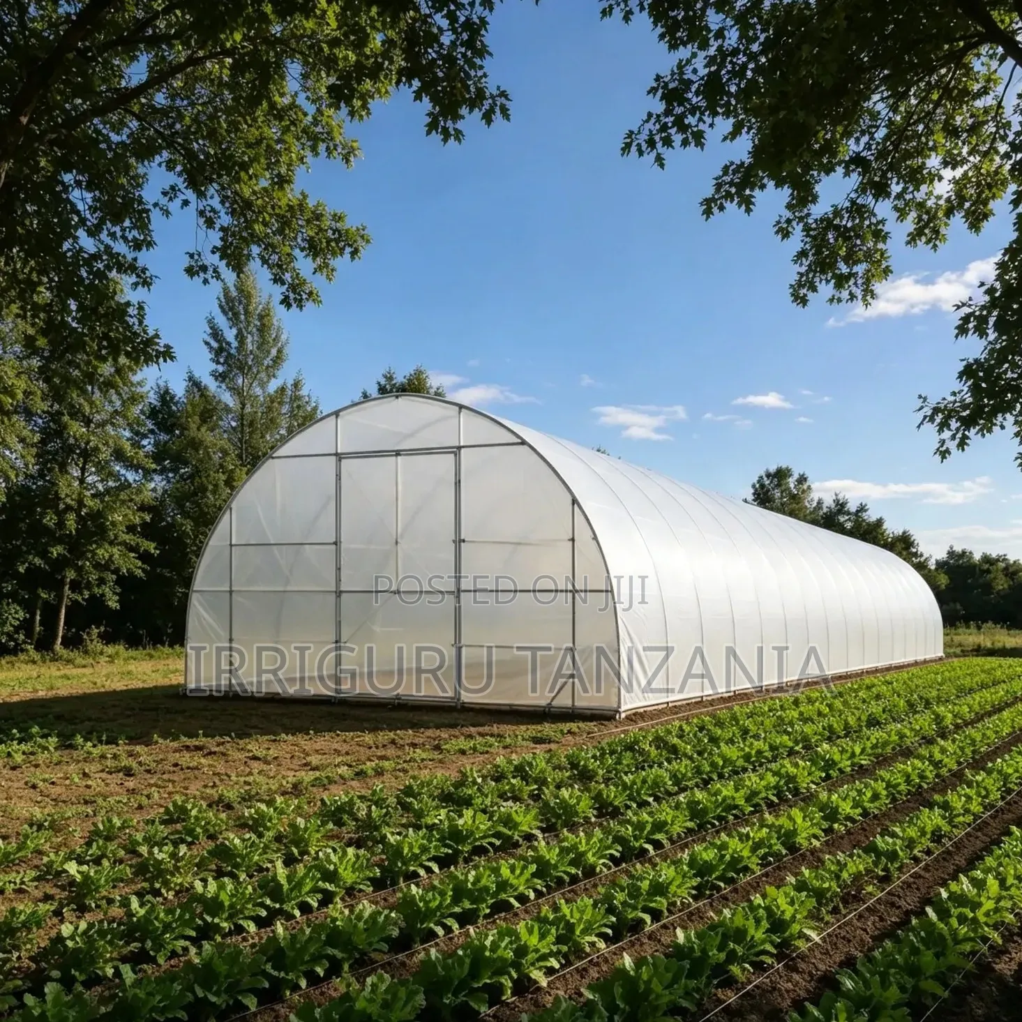 White Greenhouse Plastic Film