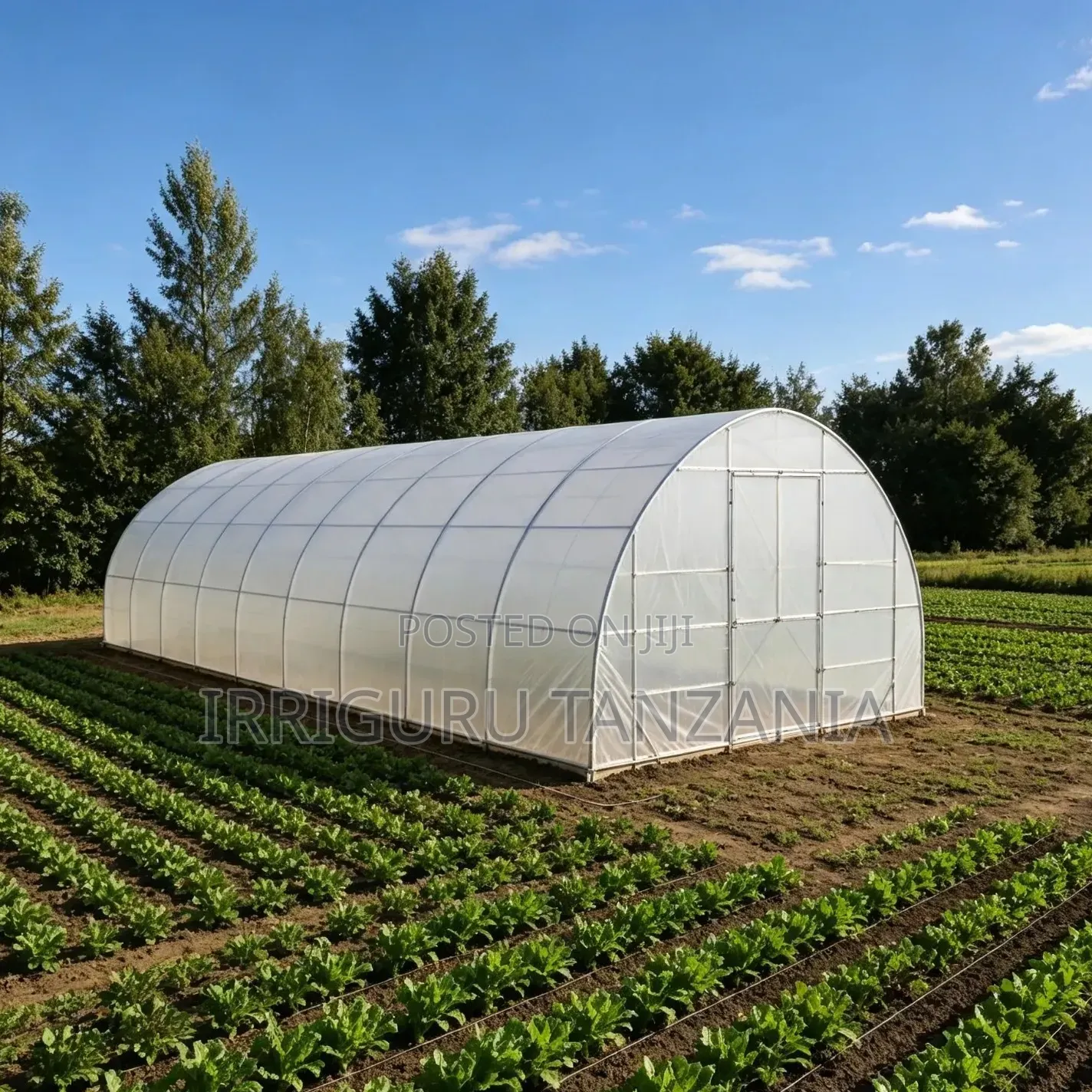 Agricultural Polythene Film