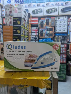 Qiudes HD300A Electric Steam Iron