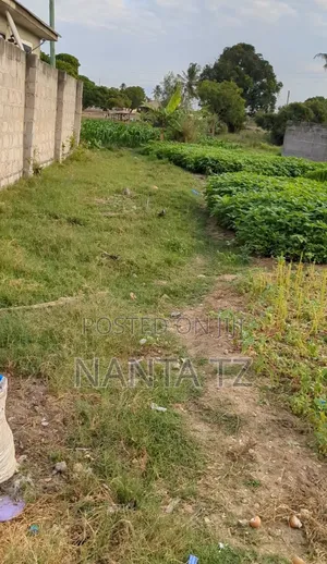 Plot for Sale