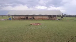 Arusha Tents