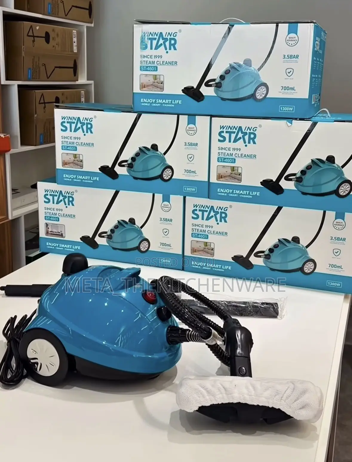 Winning Star Steam Cleaner St-4601