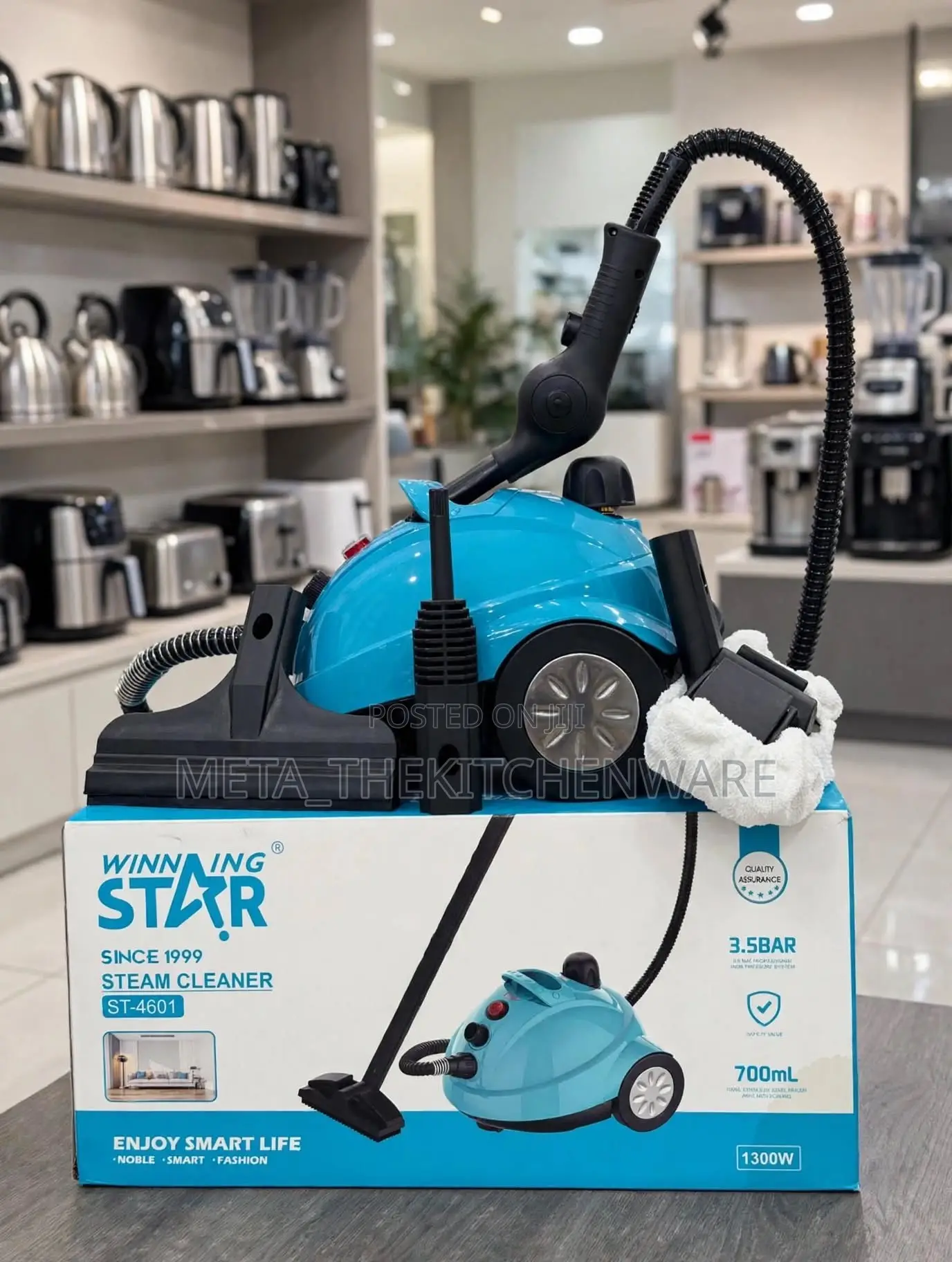 Winning Star Steam Cleaner St-4601