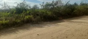 12 Acres for Sale TSH 50,000,000/Acre Located in Kongowe Kibaha, Pwani