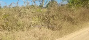 12 Acres for Sale TSH 50,000,000/Acre Located in Kongowe Kibaha, Pwani