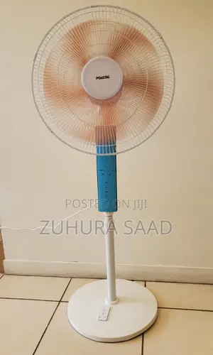 Remote Standing Fan