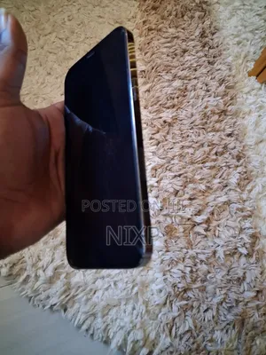 Apple iPhone 12 Pro Max 256 GB Gray