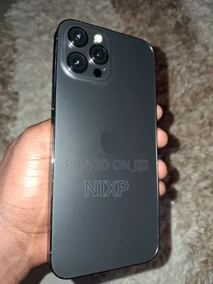 Apple iPhone 12 Pro Max 256 GB Gray