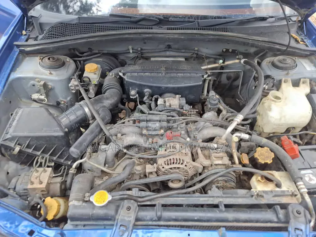 Subaru Forester 2005 Blue