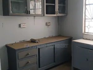 4bdrm House in Tanzania Real, Central Business Area for rent