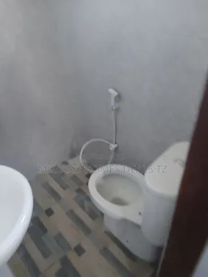 2bdrm Apartment in Mcharo Homes, Temeke for rent