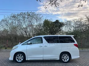 Toyota Alphard 2009 White