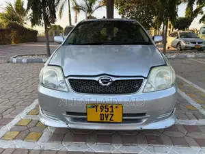 Toyota Allex 2004 Silver