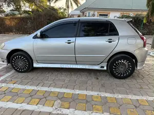Toyota Allex 2004 Silver