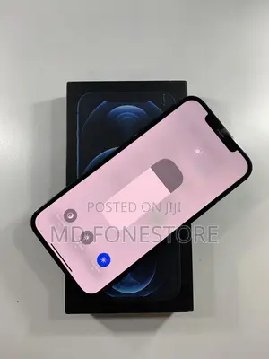 New Apple iPhone 12 Pro Max 256 GB Blue