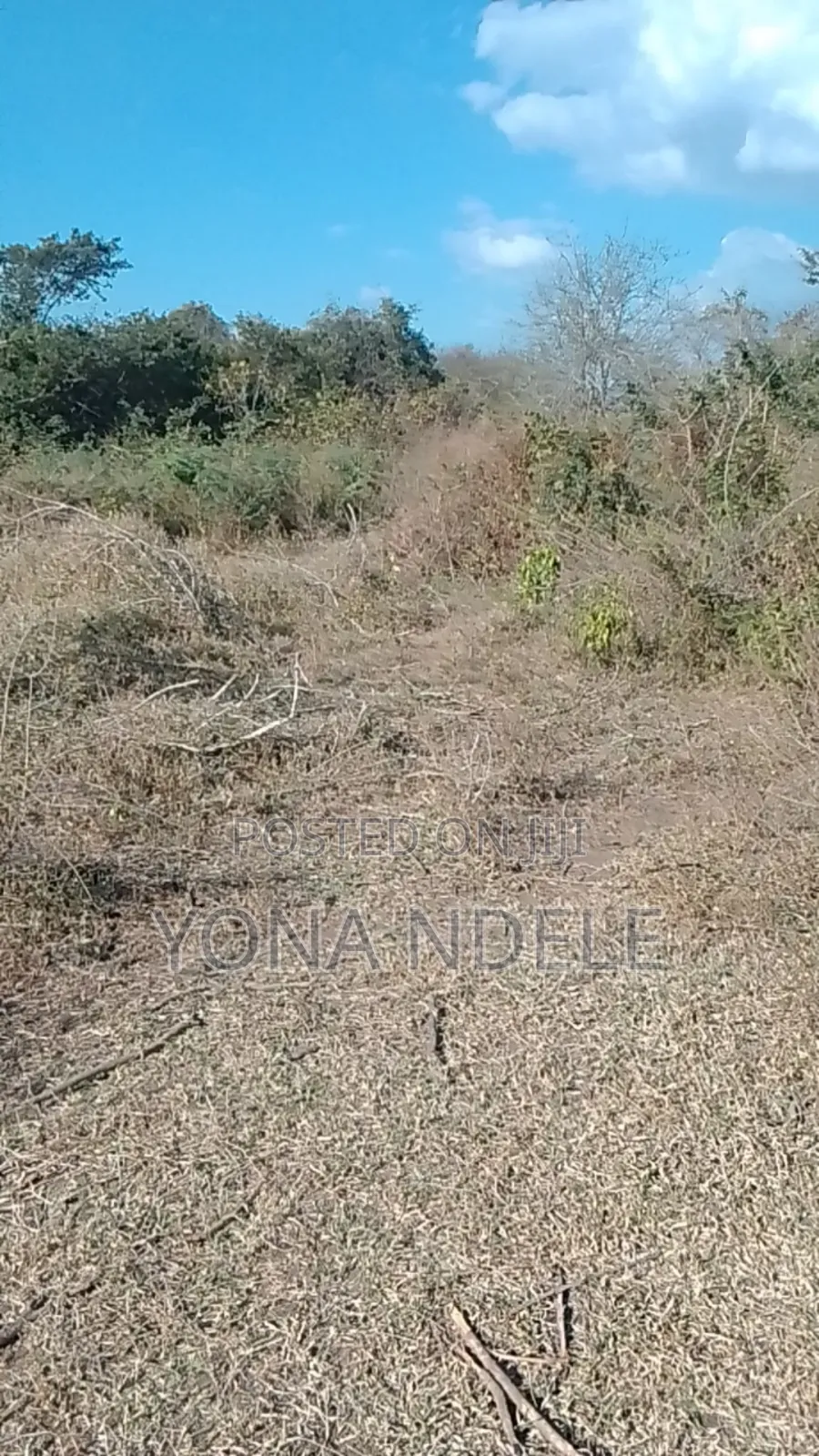 Shamba Mbwewe