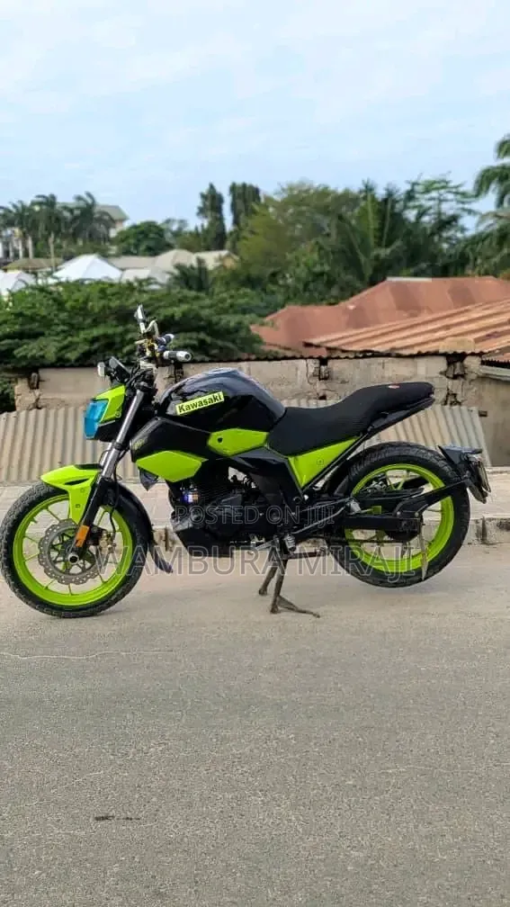 Kawasaki 2023 Blue