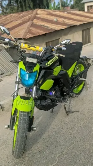 Kawasaki 2023 Blue