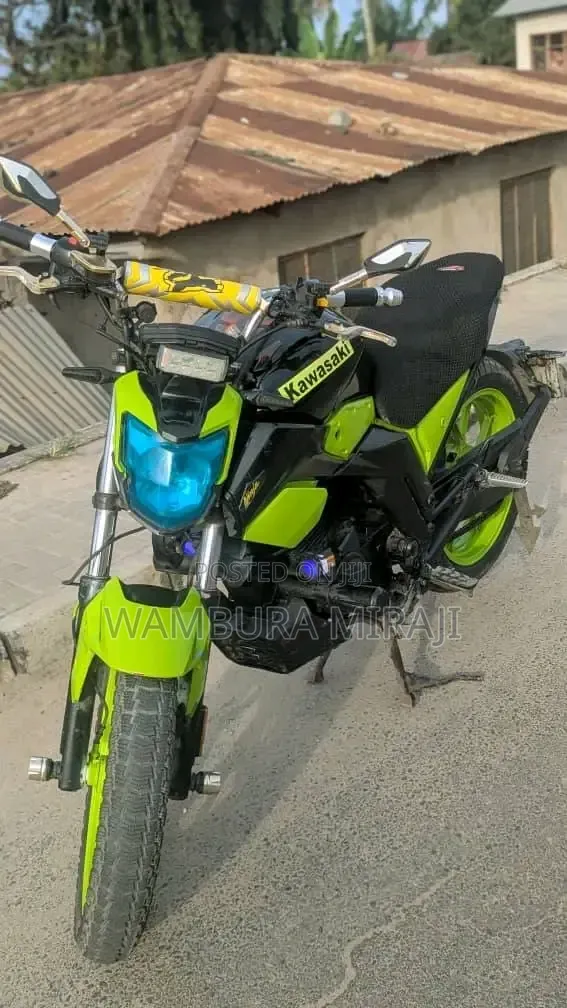 Kawasaki 2023 Blue