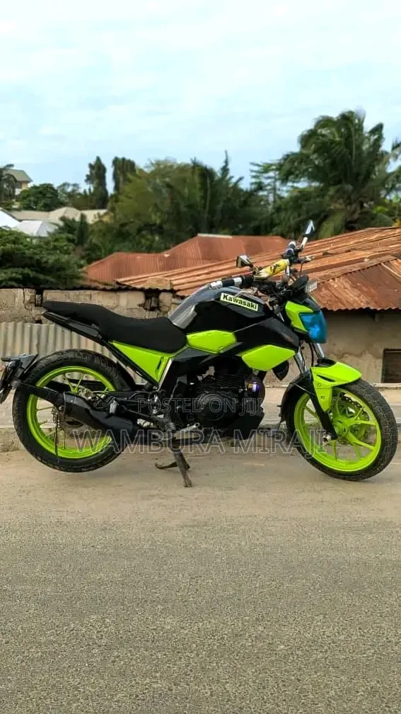Kawasaki 2023 Blue