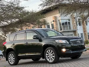 Toyota Vanguard 2010 Green