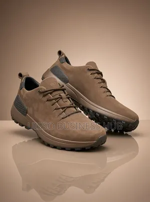 Ecco Boots Shoe