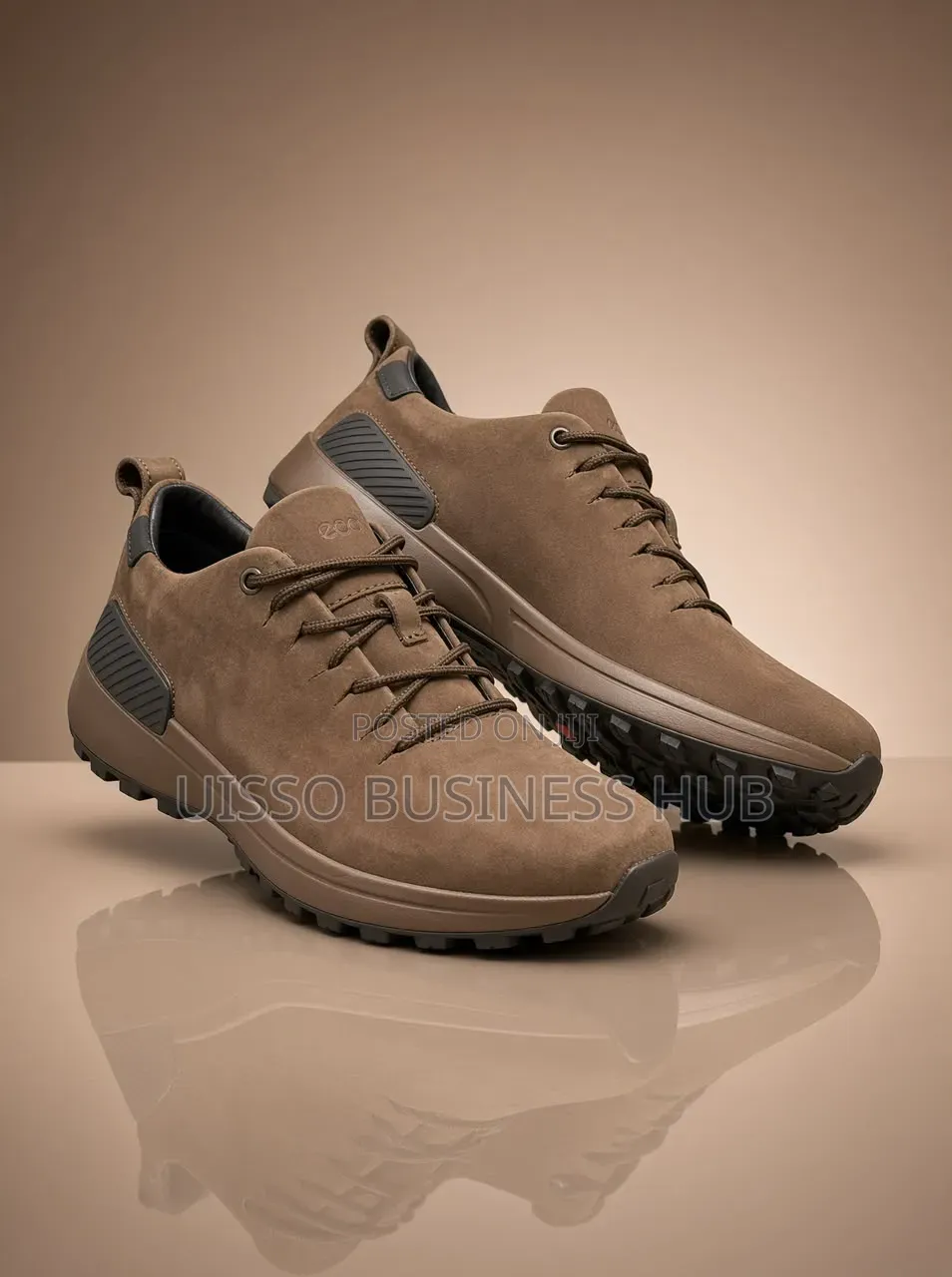 Ecco Boots Shoe