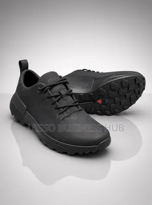 Ecco Boots Shoe