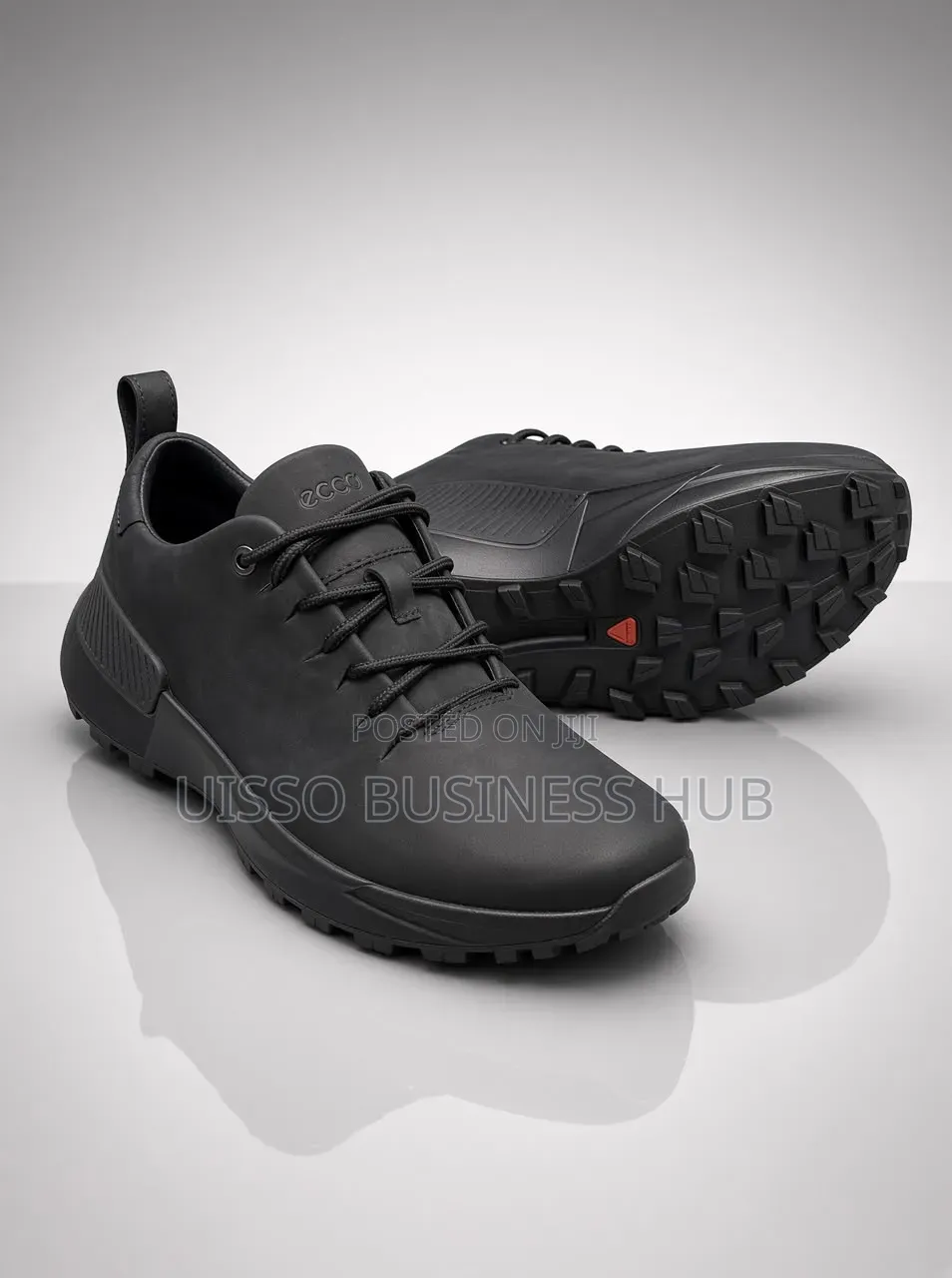 Ecco Boots Shoe