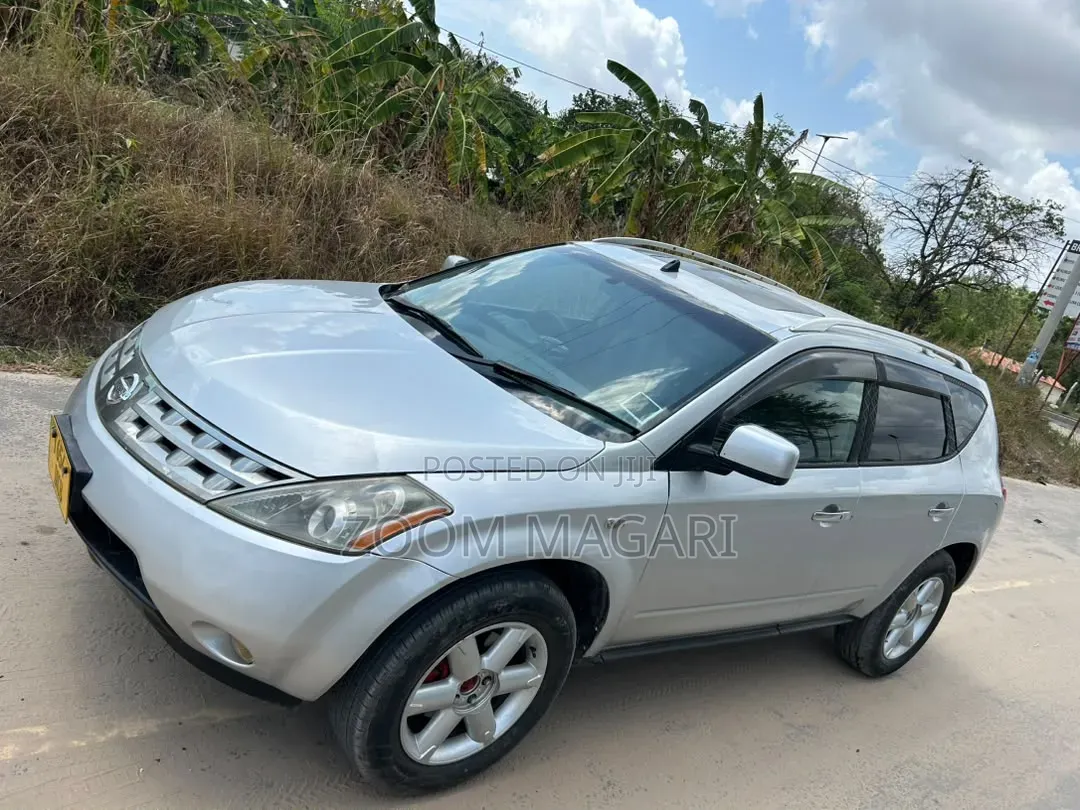Nissan Murano 2006 Silver