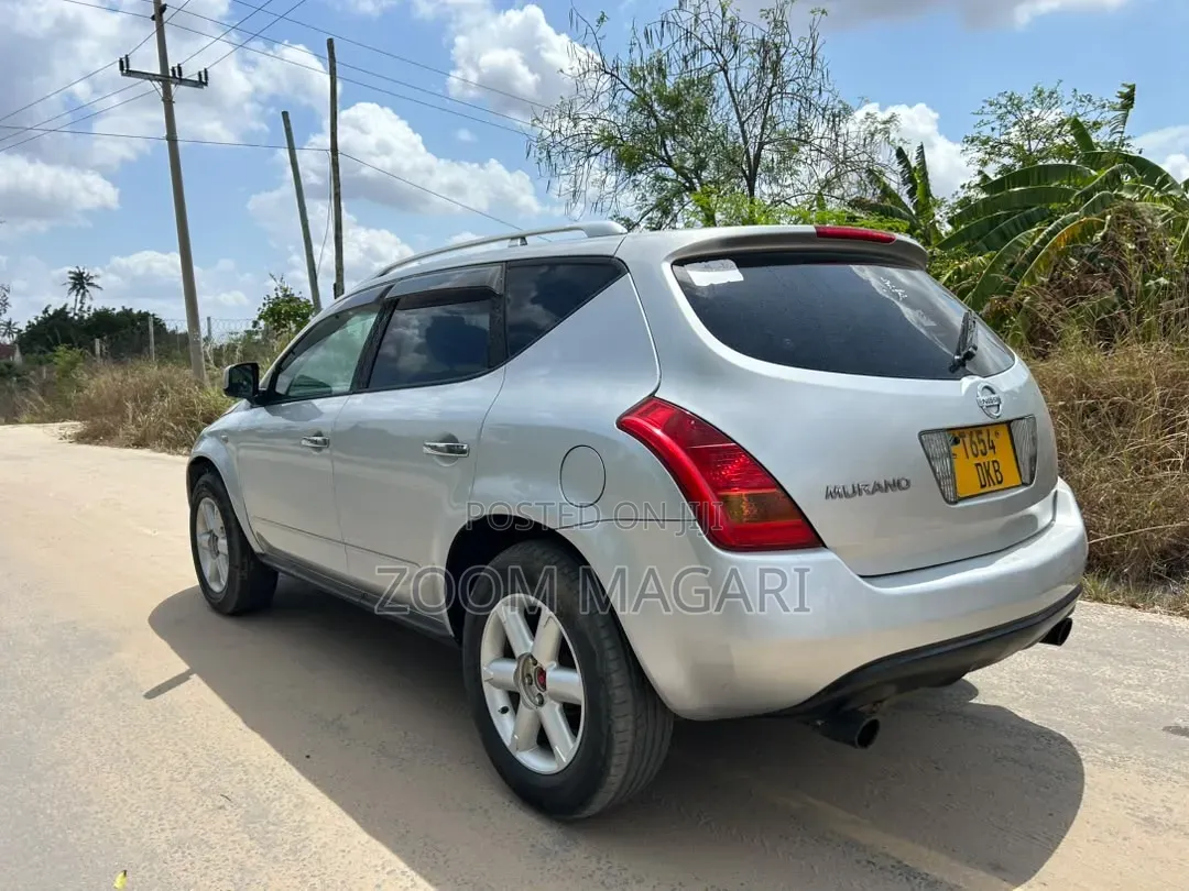 Nissan Murano 2006 Silver